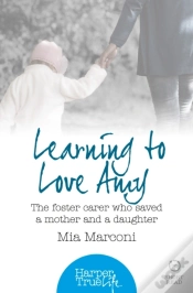 Capa do artigo Learning To Love Amy
