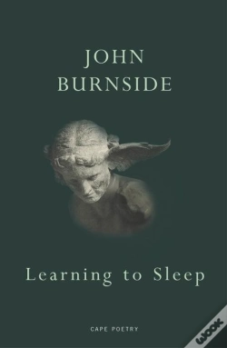 Capa do artigo Learning To Sleep