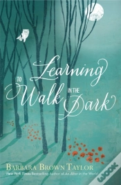 Capa do artigo Learning To Walk In The Dark