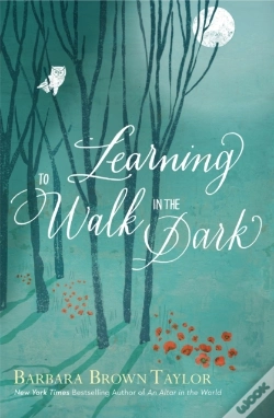 Capa do artigo Learning To Walk In The Dark