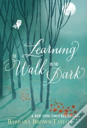 Learning To Walk In The Dark