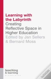 Learning With The Labyrinth
