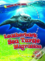 Leatherback Sea Turtle Migration