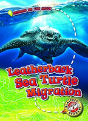 Leatherback Sea Turtle Migration - Preview