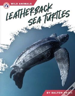 Capa do artigo Leatherback Sea Turtles