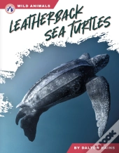 Leatherback Sea Turtles