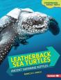 Leatherback Sea Turtles - Preview