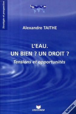 Capa do artigo L'Eau ; Un Bien ? Un Droit ? Tensions Et Opportunités