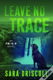 Capa do artigo Leave No Trace