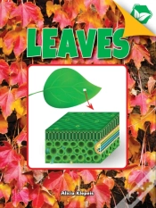 Capa do artigo Leaves