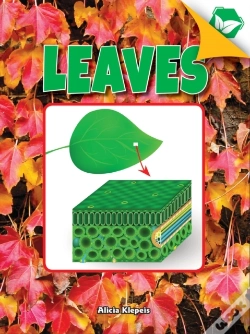 Capa do artigo Leaves