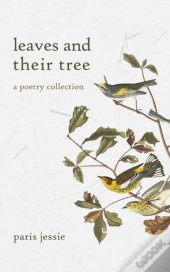 Leaves And Their Tree