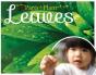 Leaves - Preview