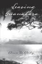 Leaving Guanabara - Preview