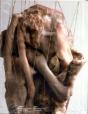 Leben?/Life? - Preview