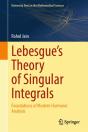 Lebesgue'S Theory Of Singular Integrals - Preview
