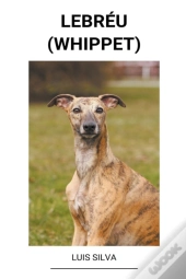 LebréU (Whippet)