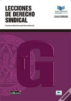 Capa do artigo Lecciones De Derecho Sindical. 1ª Ed.