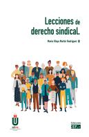 Lecciones De Derecho Sindical