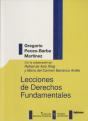 Lecciones De Derechos Fundamentales - Preview