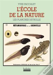 L'Ecole De La Nature ; Les Planches Deyrolle