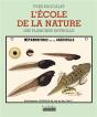 L'Ecole De La Nature ; Les Planches Deyrolle - Preview