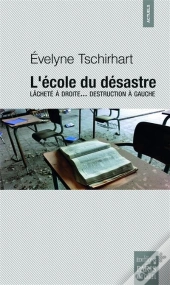 L'Ecole Du Desastre