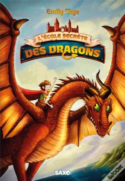 Capa do artigo L'Ecole Secrete Des Dragons (Broche) - Tome 01