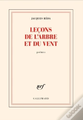 Leçons De L'Arbre Et Du Vent