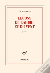 Capa do artigo Leçons De L