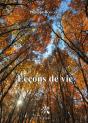 Leçons De Vie - Preview