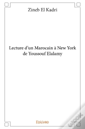 Lecture D'Un Marocain À New York De Youssouf Elalamy