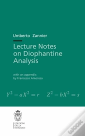 Lecture Notes On Diophantine Analysis