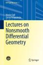 Lectures On Nonsmooth Differential Geometry - Preview