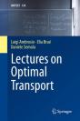 Lectures On Optimal Transport - Preview