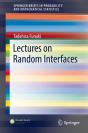 Lectures On Random Interfaces - Preview