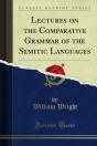 Lectures On The Comparative Grammar Of The Semitic Languages - Preview