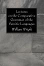 Lectures On The Comparative Grammar Of The Semitic Languages - Preview