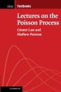 Lectures On The Poisson Process - Preview