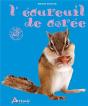 L'Écureuil De Corée - Preview