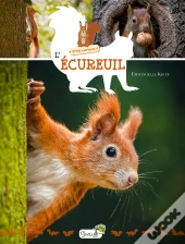 L'Écureuil