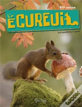 L'Ecureuil