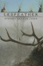 Ledfeather - Preview
