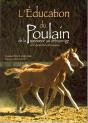 L'Éducation Du Poulain ; De La Naissance Au Débourrage ; Une Approche Éthologique - Preview