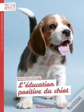L'Éducation Positive Du Chiot