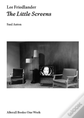 Capa do artigo Lee Friedlander