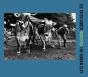 Lee Friedlander: Workers - Preview