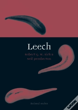 Capa do artigo Leech
