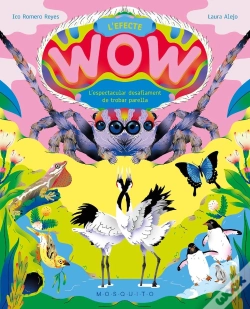 Capa do artigo L'Efecte Wow