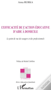 L'Efficacité De L'Action Éducative D'Aide À Domicile ; Le Point De Vue Des Usagers Et Des Professionnels